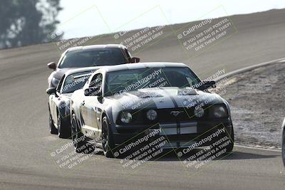 media/Feb-22-2025-CalClub SCCA (Sat) [[57201885c5]]/Group Five/Group 5b/